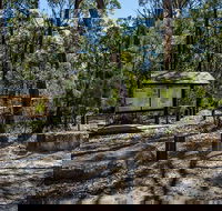 Couridjah Corridor Walk - Accommodation Mt Buller