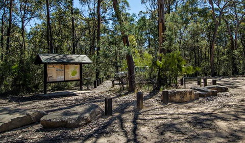 Couridjah Corridor Walk - Accommodation Mt Buller 0