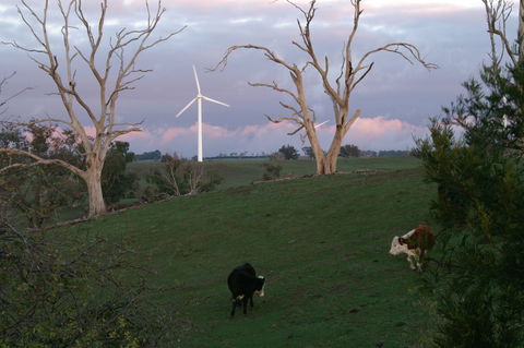 Crookwell Wind Farm - Accommodation Mt Buller 1