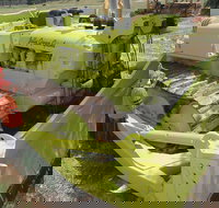 Dardanup Heritage Park - Accommodation Mt Buller