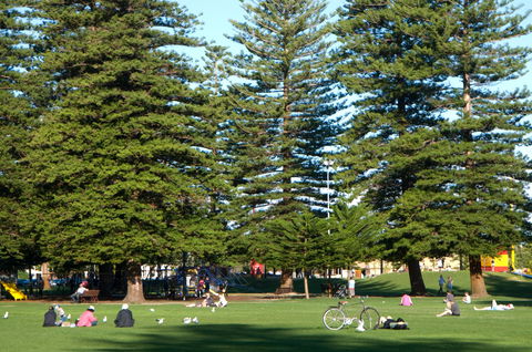 Esplanade Reserve - Accommodation Mt Buller 0