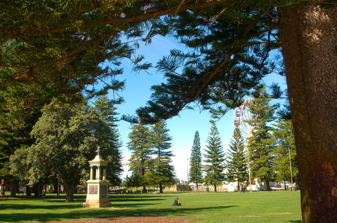 Esplanade Reserve - Accommodation Mt Buller 2