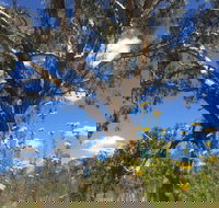 Euroa Arboretum - Accommodation Mt Buller