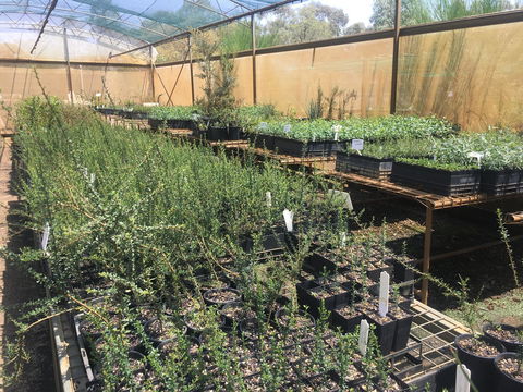 Euroa Arboretum - Accommodation Mt Buller 1