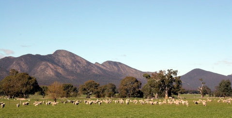 Grampians - Accommodation Mt Buller 0