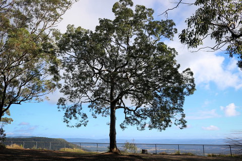 Heaton State Forest - Watagan Mountains - Accommodation Mt Buller 2