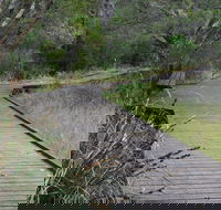 Leschenault Peninsula Conservation Park