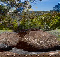 Marramarra Ridge to Smugglers Ridge walking track - Accommodation Mt Buller