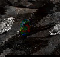 Matthew Ely - Accommodation Mt Buller