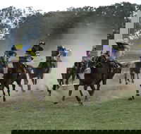 Mendooran - Accommodation Mt Buller