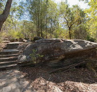 Mooney Mooney nature walk - Accommodation Mt Buller