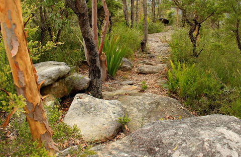 Mount Olive Trail - Accommodation Mt Buller 0