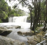 Nellies Glen Carrington Falls - Accommodation Mt Buller
