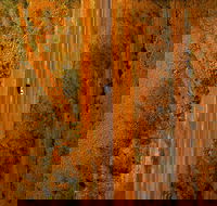 Newcastle Waters - Accommodation Mt Buller