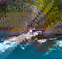 Newland Head Conservation Park