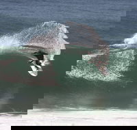 Old Bar - Accommodation Mt Buller