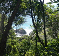 Rainforest Walking Track Hat Head National Park - Accommodation Mt Buller