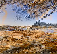 Rennix walking track - Accommodation Mt Buller