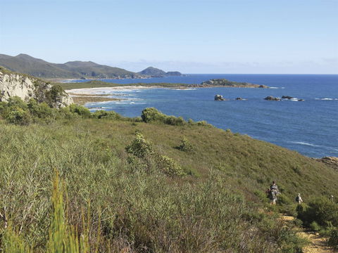 Rocky Cape National Park - Accommodation Mt Buller 1