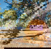 Surat - Accommodation Mt Buller