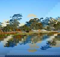 The Gums - Accommodation Mt Buller