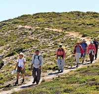 The Sole Walk at Hillocks Drive - Accommodation Mt Buller