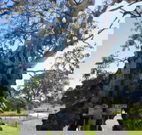 The Herbig Family Tree - Accommodation Mt Buller