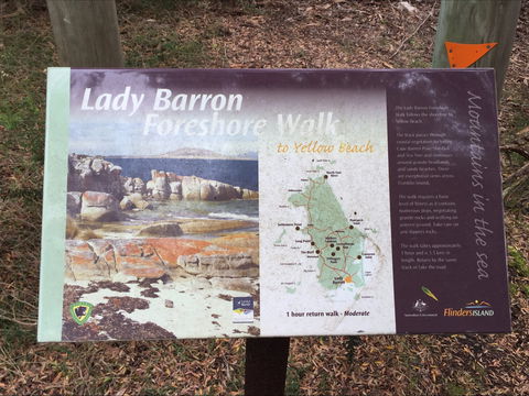 The Lady Barron Foreshore Walk - Accommodation Mt Buller 0