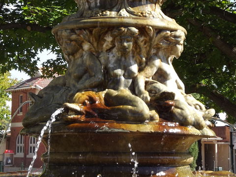 Two-Foot Heritage Walk - Accommodation Mt Buller 2