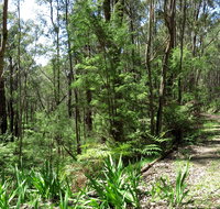Tyers Park - Accommodation Mt Buller