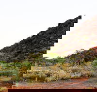 Whyalla Conservation Park - Accommodation Mt Buller