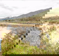 Willis picnic area - Accommodation Mt Buller