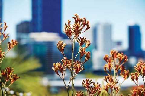 A Day In Perth - Accommodation Mt Buller 1