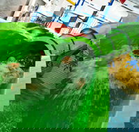 AquaPulse - Accommodation Mt Buller