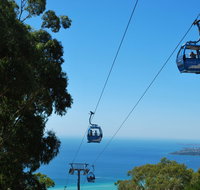 Arthurs Seat Eagle - Accommodation Mt Buller