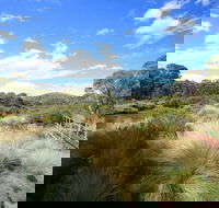 Bullocks walking track - Accommodation Mt Buller