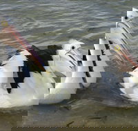 Chinaman Wells - Accommodation Mt Buller