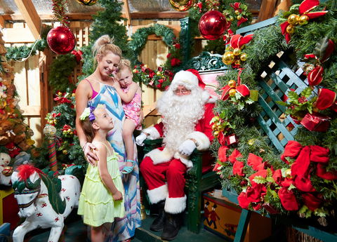 Christmas Tree Farm - Accommodation Mt Buller 2