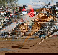 Coonamble - Accommodation Mt Buller