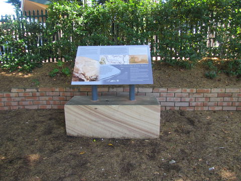 Coxs Road Interpretive Trail - Accommodation Mt Buller 0