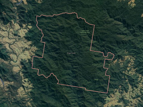 Dingo Forest - Accommodation Mt Buller 0