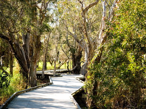 Eagleby Wetlands - Accommodation Mt Buller 1