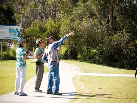 Eagleby Wetlands - Accommodation Mt Buller 2