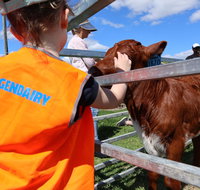 Farm Visit  Dungog - Accommodation Mt Buller