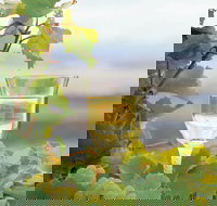 Flavours of the Porongurup Range Trail - Accommodation Mt Buller