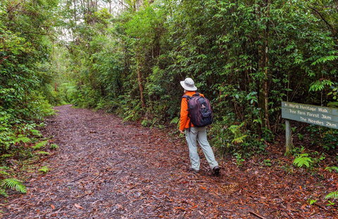 Gibraltar-Washpool World Heritage Walk - Accommodation Mt buller 0