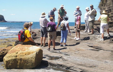 Gondwana Coast Fossil Walk - Accommodation Mt Buller 0