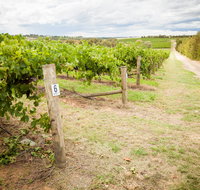 Grove Estate Wines - Accommodation Mt Buller