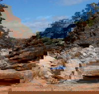 Homestead Gorge trail - Accommodation Mt Buller