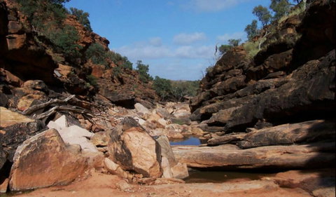 Homestead Gorge Trail - Accommodation Mt Buller 0
